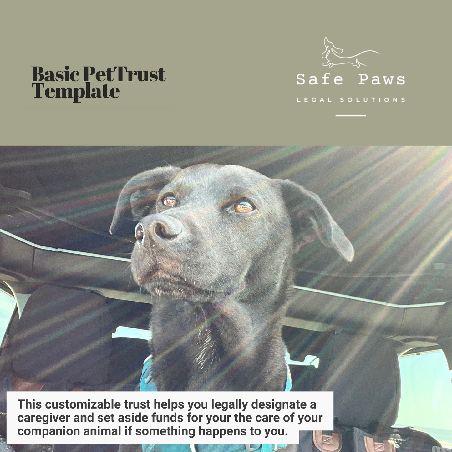 Basic Pet Trust Template