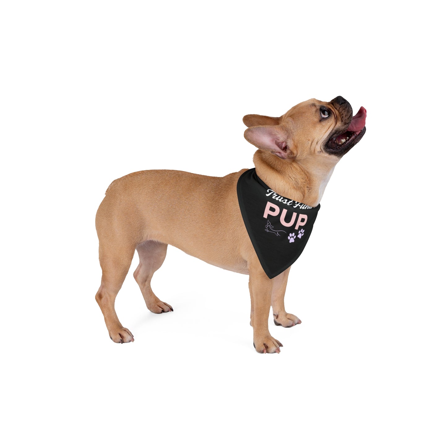 Trust Fund Pup Bandana Light Pink