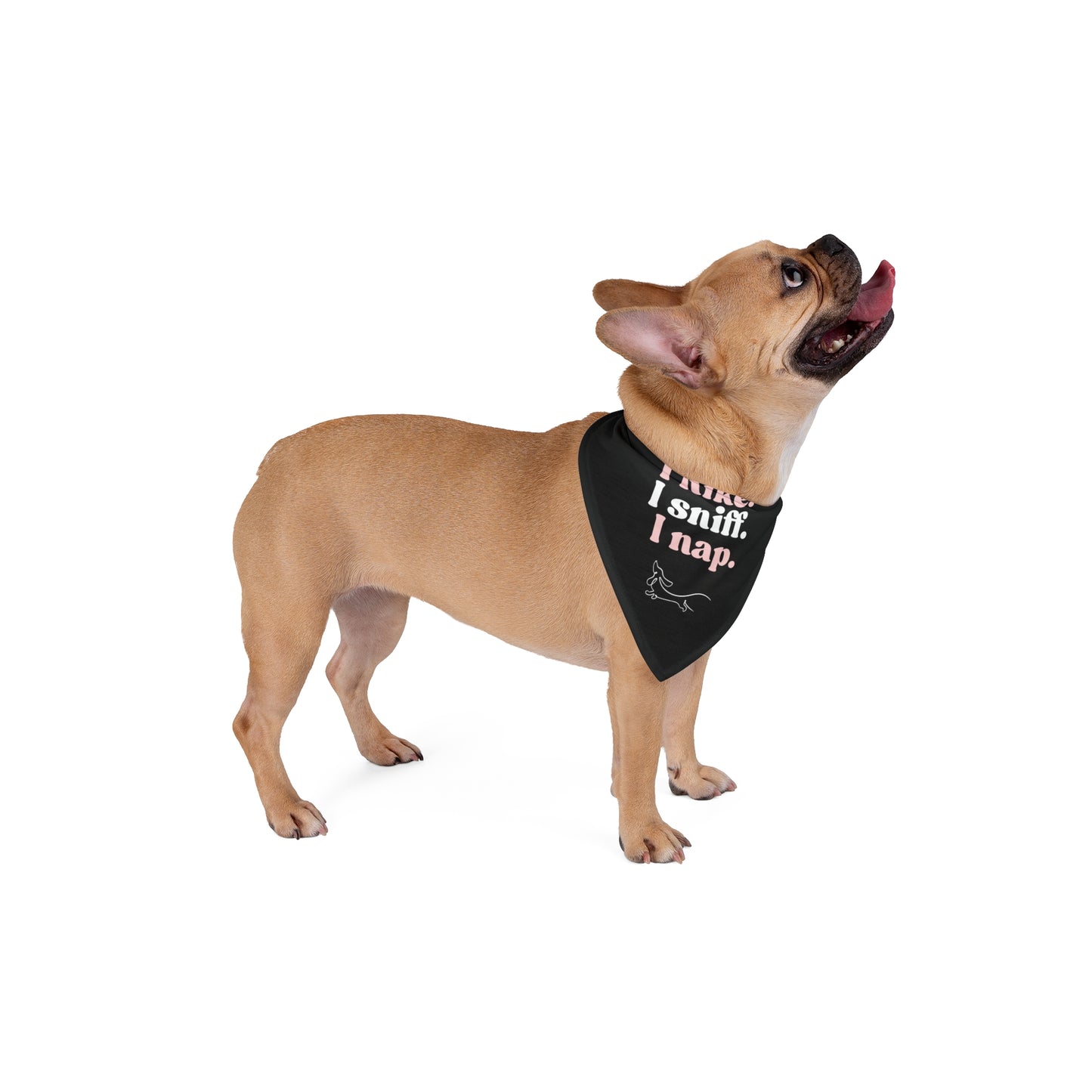 I Hike, I Sniff, I Nap – Dog Bandana (Black + Light Pink)