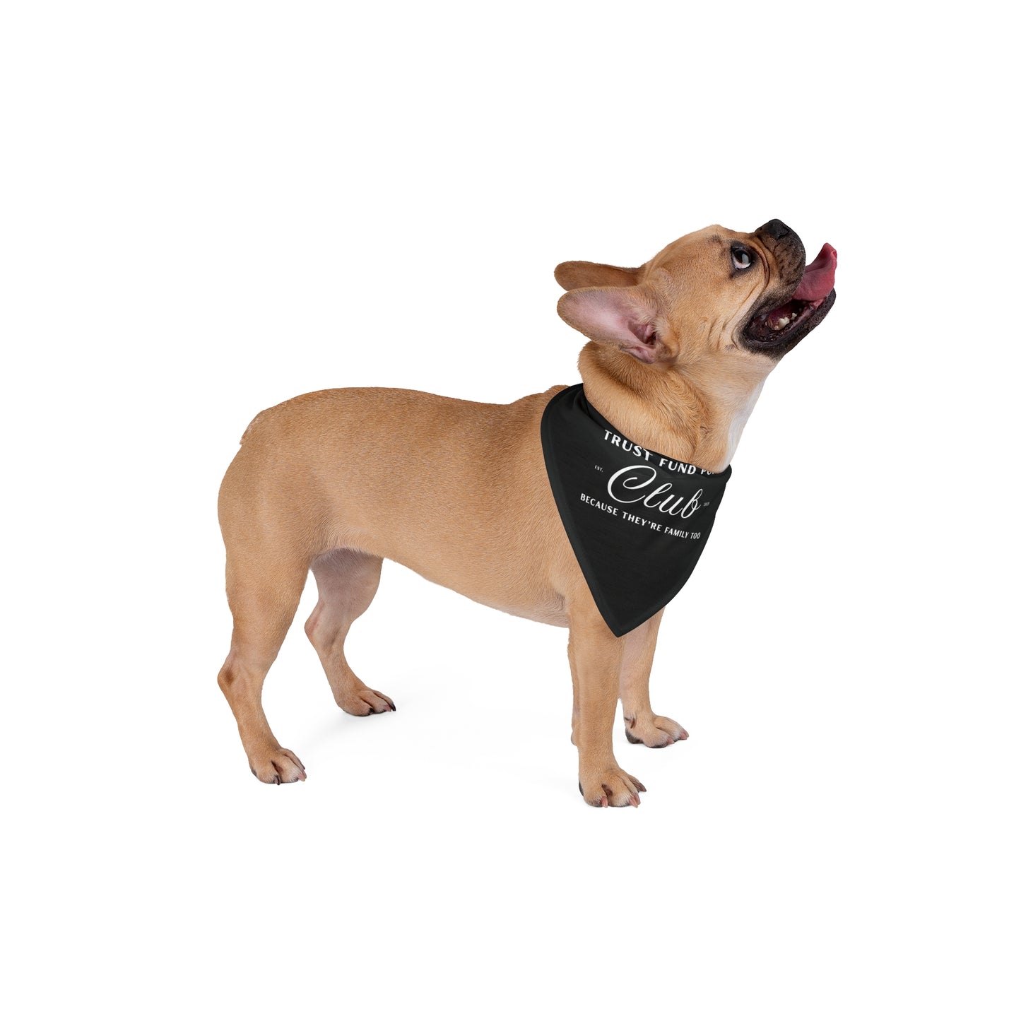 Trust Fund Pup Club - Dog Bandana