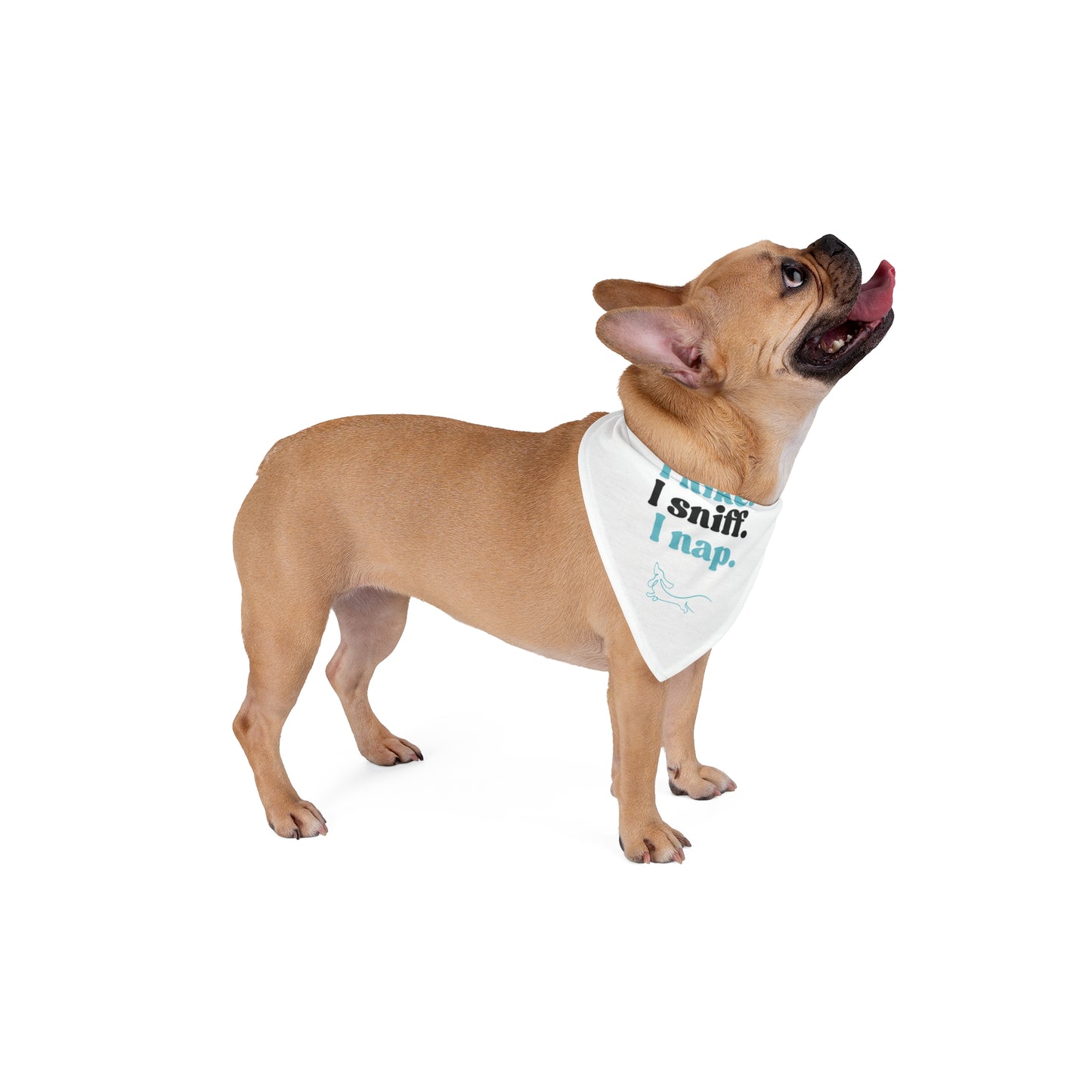I Hike, I Sniff, I Nap – Dog Bandana (White + Light Blue)