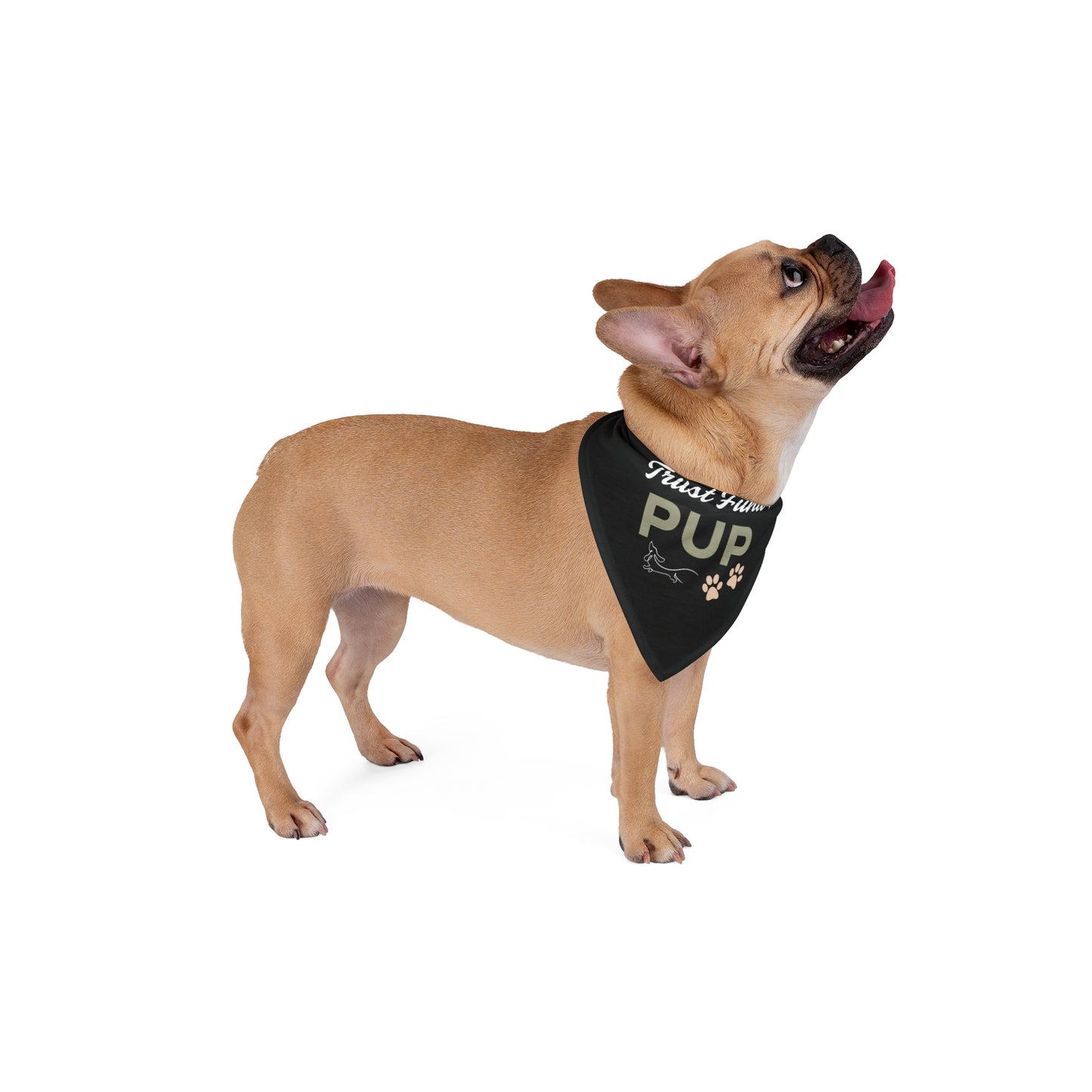 Trust Fund Pup Bandana - Olive