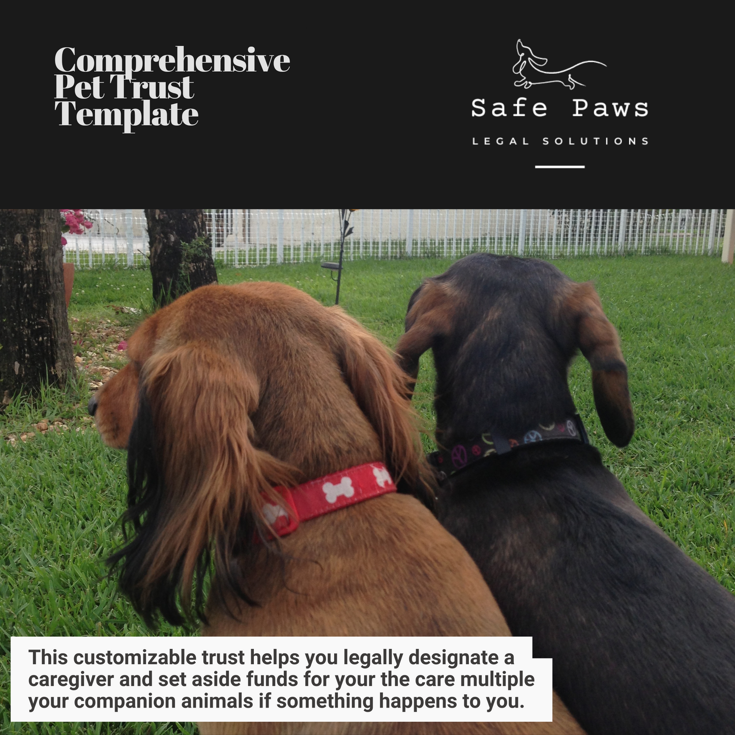 Comprehensive Pet Trust Template