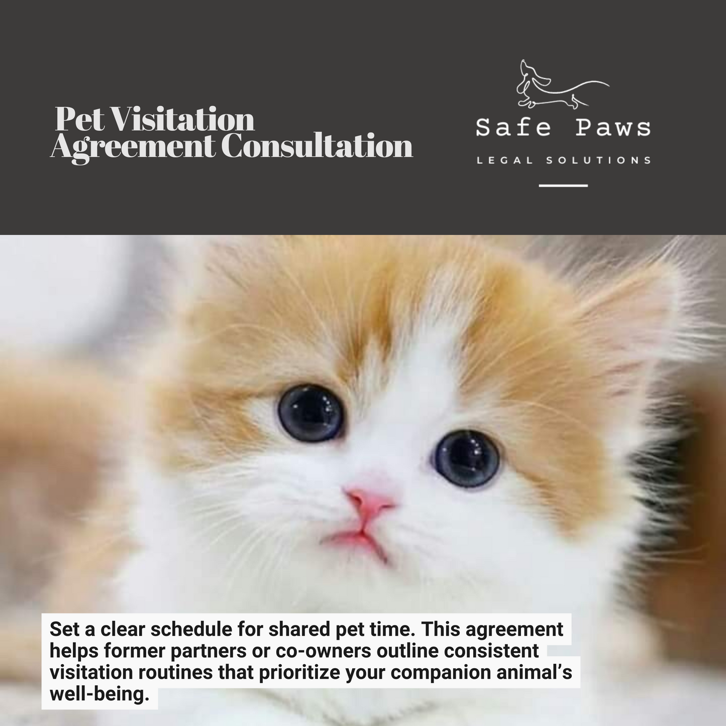 Pet Visitation Agreement - Legal Consultation