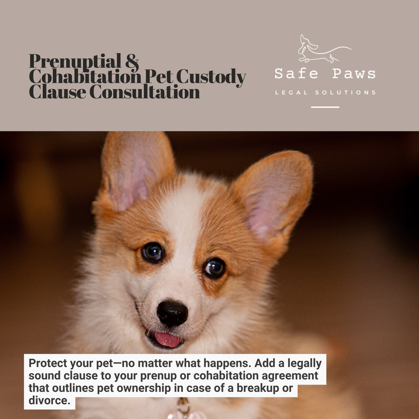 Prenuptial or Cohabitation Pet Custody Clause - Legal Consultation