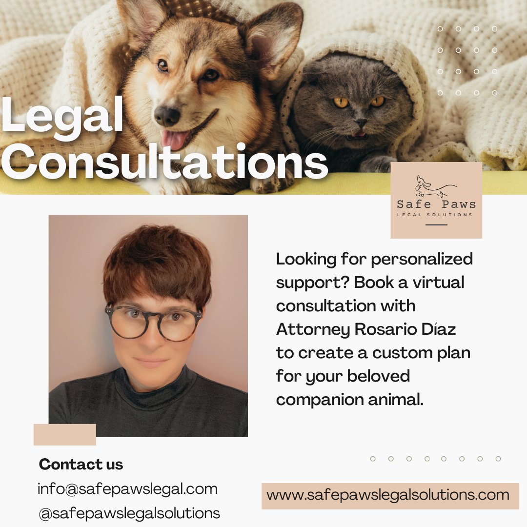 Legal Consultations
