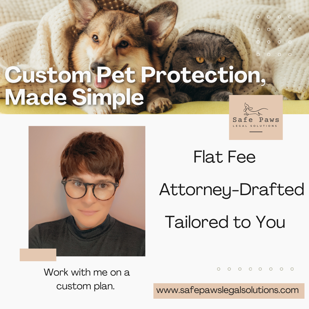 Start Here: Consultation & Custom Plans.