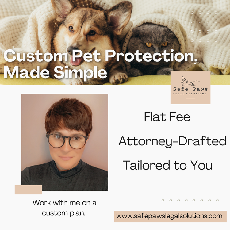 Start Here: Consultation & Custom Plans.
