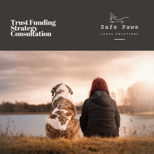 Trust Funding Strategy - Legal Consultation