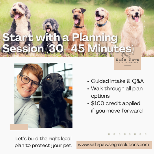 Planning Session (30–45 min) - $100 Credit!